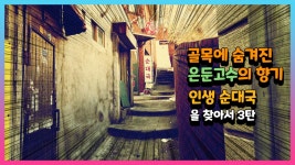 은둔 고수의 향기가 나는 순대국집 인생순대국을 찾아서 3탄 - kakaoTV 은둔 고수의 향기가 나는 순대국집 인생순대국을 찾아서 3탄