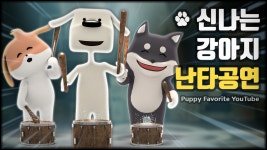 강아지 놀아주기, 강아지 난타! 강아지가 반응하는 신나는 댄스 - YouTube channel for dog - kakaoTV 강아지 놀아주기, 강아지 난타!... 