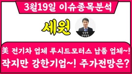 세원(234100) - 美 전기차 업체 루시드모터스 납품 업체~! 작지만 강한기업~! 주가전망은? - kakaoTV 세원(234100) - 美 전기차 업체... 