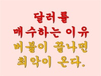 달러를 매수하는 이유 - 버블이 끝나면 최악이 온다. - kakaoTV 달러를 매수하는 이유 - 버블이 끝나면 최악이 온다.