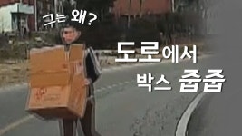 도로 위 박스 줍줍? 그는 왜? - kakaoTV 도로 위 박스 줍줍? 그는 왜?