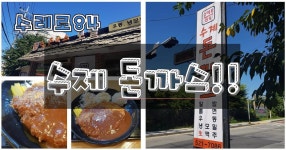 남양주 와부읍에 있는 수레로~~ 수제 돈까스 - kakaoTV  남양주 와부읍에 있는 수레로~~ 수제 돈까스