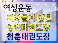 서울 의정부 성인전문 청춘태권도!(운동/다이어트/취미) - kakaoTV 여자들을 위한 태권도장을 찾는다면? 서울 의정부 성인전문 청춘태권도!(운동... 