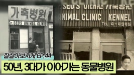 50년의 세월, 3대가 이어가는 동물병원 [잘살아보시개 시즌2] 44회 - kakaoTV 50년의 세월, 3대가 이어가는 동물병원 [잘살아보시개 시즌2]... 