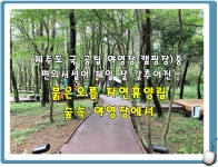 [제주도 캠핑] 제주도 국 공립 야영장중 편의시설이 제일 잘 갖추어진 붉은오름자연휴양림 숲속야영장 - kakaoTV [제주도 캠핑] 제주도 국 공립... 