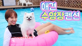 ㅋㅋ 애견펜션 여름휴가❤️ - kakaoTV 강아지 전용 수영장에서 왜 내가 더 신나지? ㅋㅋ 애견펜션 여름휴가❤️