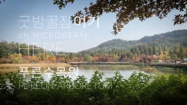 여기 산책, 항동 푸른 수목원 - kakaoTV 여기 산책, 항동 푸른 수목원