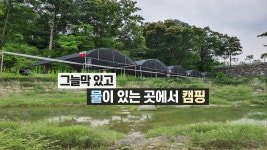 여름 캠핑은 계곡이 최고~!! 가평 솔밭펜션 캠핑장에서 1박 - kakaoTV 여름 캠핑은 계곡이 최고~!! 가평 솔밭펜션 캠핑장에서 1박