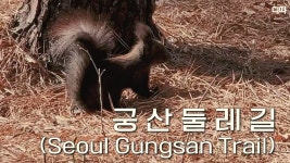 랜선여행 궁산둘레길(양천향교, 소악루, 양천고성지, 궁산땅굴) / 디따 - kakaoTV 랜선여행 궁산둘레길(양천향교, 소악루, 양천고성지... 