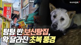 텅텅 빈 보신탕집, 확 달라진 초복 풍경 - kakaoTV 텅텅 빈 보신탕집, 확 달라진 초복 풍경