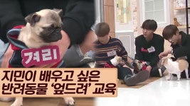 방탄소년과 함께 하는 반려동물 ‘엎드려’ 교육 [마이펫 상담소] 6회 - kakaoTV 방탄소년과 함께 하는 반려동물 ‘엎드려’ 교육 [마이펫... 