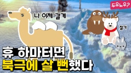 [두유노우] 낙타 고향은 사막이 아니다! 그럼 어디?? - kakaoTV [두유노우] 낙타 고향은 사막이 아니다! 그럼 어디??