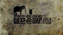 보험의배신(9) 코끼리를 냉장고에 넣는 법 셀프 손해사정 - kakaoTV 보험의배신(9) 코끼리를 냉장고에 넣는 법 셀프 손해사정