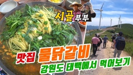귀농귀촌 시골부부 (강원도여행)#3_촬영후 맛집찾기 물닭갈비 막국수 - kakaoTV 귀농귀촌 시골부부 (강원도여행)#3_촬영후 맛집찾기 물닭갈비... 