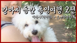 통영여행 | 2편 ♥ 19년 여름휴가 | 강아지동반 여행브이로그 | 미래사 편백림, 도남관광단지 해물찜 - kakaoTV 통영여행 | 2편 ♥ 19년 여름휴가... 