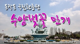 서울 동작동 국립현충원은 벚꽃 명소로도 유명한 곳입니다. - kakaoTV 서울 동작동 국립현충원은 벚꽃 명소로도 유명한 곳입니다.
