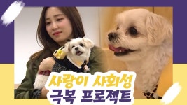 하랑이 사회성 극복 프로젝트! [오 마이 펫 시즌2] 5회 - kakaoTV 하랑이 사회성 극복 프로젝트! [오 마이 펫 시즌2] 5회