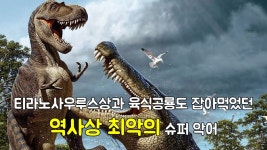 다큐멘터리 티라노사우루스상과 육식공룡도 잡아먹었던 역사상 최악의 슈퍼 악어 - kakaoTV 다큐멘터리 티라노사우루스상과 육식공룡도... 