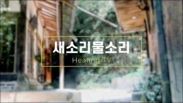 홈트리오 힐링TV - 새소리물소리(전원주택 집짓기) - kakaoTV 홈트리오 힐링TV - 새소리물소리(전원주택 집짓기)