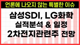 삼성SDI, LG화학 1분기 실적, 2차전지관련주 수급은 좋은데 주식 매수해도 될까요? - kakaoTV 삼성SDI, LG화학 1분기 실적, 2차전지관련주... 