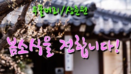 [두물머리/상춘원] 동백과 매화가 봄소식을 전합니다! - kakaoTV [두물머리/상춘원] 동백과 매화가 봄소식을 전합니다!