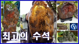 Ep.34수석경매장 최고의수석 명품수석 수석고 - kakaoTV 수석경매 비가 와도 경매는 계속 된다 명품 수석의 기준??? Ep.34수석경매장 최고의수석... 