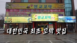 일산 꼬막 맛집, 탄현동 단이네벌교꼬막 본점 - kakaoTV 일산 꼬막 맛집, 탄현동 단이네벌교꼬막 본점