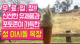 무료입장 제주도 목장 성 이시돌 목장 - kakaoTV 무료입장 제주도 목장 성 이시돌 목장