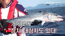 [예고] 스토리피싱 in 거제 - kakaoTV [예고] 스토리피싱 in 거제