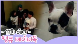 [11회 예고] 땡큐 베이비 독, 시끌벅적 호호루네 가족사진 현장! - kakaoTV [11회 예고] 땡큐 베이비 독, 시끌벅적 호호루네 가족사진 현장!