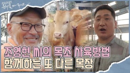 조영현 씨를 이어 소에 진심인 또 다른 목장 그들의 도전 I 원더풀... 이어 소에 진심인 또 다른 목장 그들의 도전 I 원더풀 마이 라이프 28회
