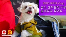 [체리 브이로그] 송도 센트럴파크 공원에 다녀왔어요. - kakaoTV [체리 브이로그] 송도 센트럴파크 공원에 다녀왔어요.