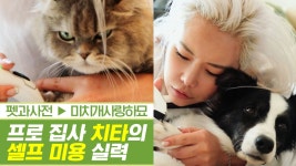 프로 집사 치타의 반려동물 셀프 미용 실력 [펫과사전] 2회 - kakaoTV 프로 집사 치타의 반려동물 셀프 미용 실력 [펫과사전] 2회
