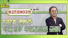 에코프로에이치엔, 친환경 관련주 주당 3주 무상증자로 급등! │ 종목상담 (에코프로에이치엔, 친환경주) - kakaoTV 에코프로에이치엔, 친환경... 