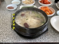 [서귀포시 토평동] 서귀포의 원조 삼계탕 맛집이자 제주도민 현지인들의 맛집인 이조삼계탕 - kakaoTV [서귀포시 토평동] 서귀포의 원조 삼계탕... 