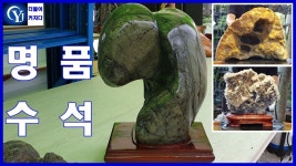 Ep.38수석경매장 최고의수석 명품수석 - kakaoTV 수석경매 전혀 손대지 않은 자연의 작품 명품 수석 낙찰? 유찰? Ep.38수석경매장 최고의수석... 