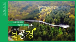 보령줌인 | 초록 보령의 봄, 하늘에서 만나다! - kakaoTV 보령줌인 | 초록 보령의 봄, 하늘에서 만나다!