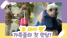 ‘오 마이 펫’ 가족들의 첫 만남! 그리고, 흰둥이 [오 마이 펫] 4회 - kakaoTV ‘오 마이 펫’ 가족들의 첫 만남! 그리고, 흰둥이 [오 마이 펫] 4회