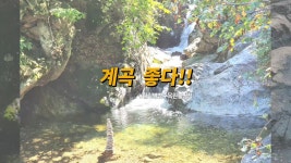 [경기도 남양주 캠핑장 ]힐링별밤수목원캠핑장 - kakaoTV [경기도 남양주 캠핑장 ]힐링별밤수목원캠핑장