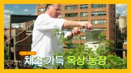 뉴욕의 진풍경🏙고층빌딩 농장과 수제 부라타 치즈 - kakaoTV 뉴욕의 진풍경🏙고층빌딩 농장과 수제 부라타 치즈