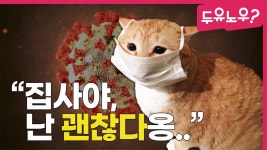 [두유노우] 코로나19, 반려동물도 걸린다고요? - kakaoTV [두유노우] 코로나19, 반려동물도 걸린다고요?