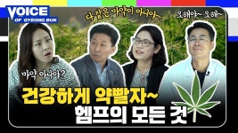 보이스오브경북 l 건강하게 약빨자! 대마의 모든 것_ 지금 공개합니다!!! - kakaoTV 보이스오브경북 l 건강하게 약빨자! 대마의 모든 것_ 지금... 