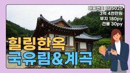 양평전원주택 매물 국유림 힐링 계곡 한옥 전원주택 양평부동산... 힐링 계곡 한옥 전원주택 양평부동산 급매전문 전원시대 양15025[청운면]