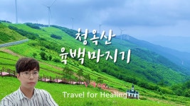 청옥산 육백마지기 / South Korea Travel Vlogs - kakaoTV 청옥산 육백마지기 / South Korea Travel Vlogs 
