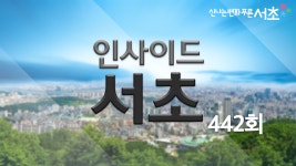 인사이드서초 442회 - kakaoTV 인사이드서초 442회