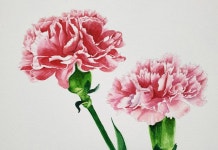 41 수채화 watercolor painting Carnations 카네이션 어버이날... 41 수채화 watercolor painting Carnations 카네이션 어버이날... 