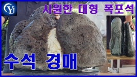 Ep.25 수석경매장 최고의수석 수석고르는법 수석가격 - kakaoTV 수석경매 시원한 대형 폭포석 낙찰? 유찰? Ep.25 수석경매장 최고의수석... 