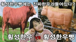 카카오tv 유튜브 최초 횡성 한우 7마리 한우빵 먹방 리뷰 mukbang - kakaoTV 카카오tv 유튜브 최초 횡성 한우 7마리 한우빵 먹방 리뷰... 