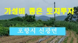 경북 포항부동산 포항시 신광면 우각리 토지매매 - kakaoTV 경북 포항부동산 포항시 신광면 우각리 토지매매