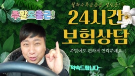 VLOG 보험왕 24시간 대기중!! 보험은 가입보다 관리가 중요합니다~ - kakaoTV VLOG 보험왕 24시간 대기중!! 보험은 가입보다 관리가... 